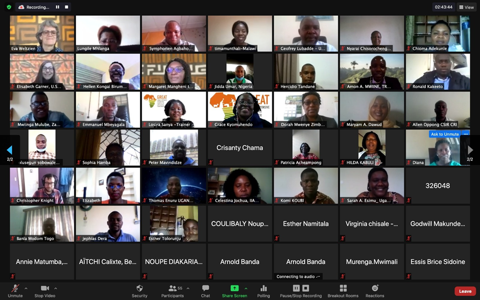 Screenshot of participants of Theme 5 course
